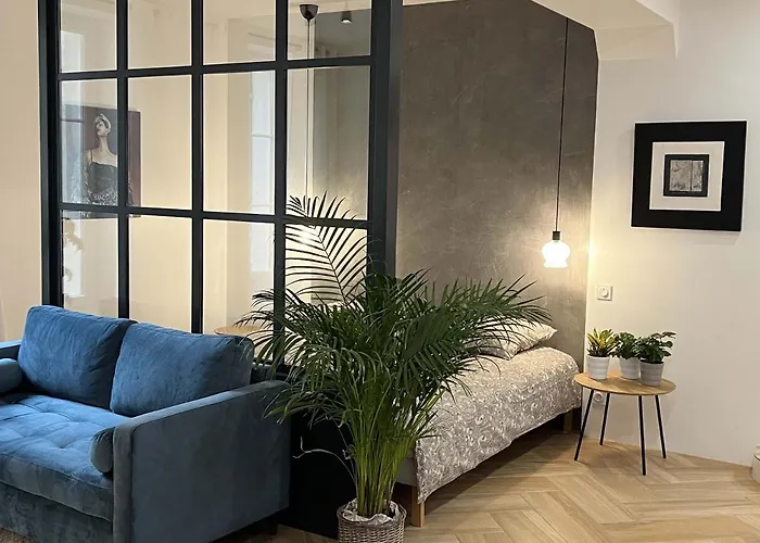 Bel appartement au centre du vieux Joigny